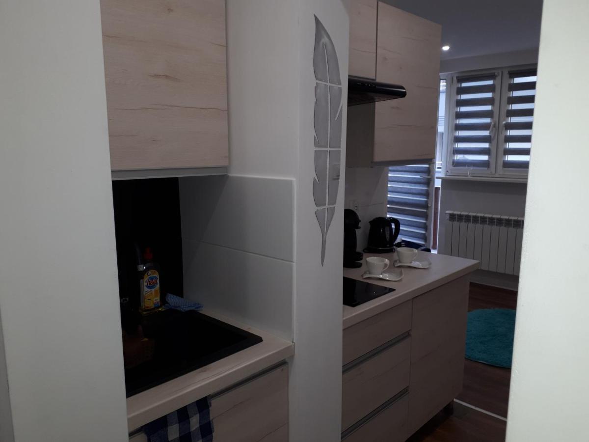 Apartamenty Centrum Mala Dwojeczka Blekitna Panoramiczna Balkonem Promenada Kielce Kültér fotó